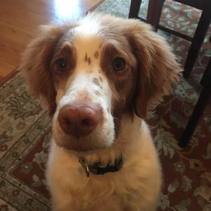 Meet your Posher, Caryn